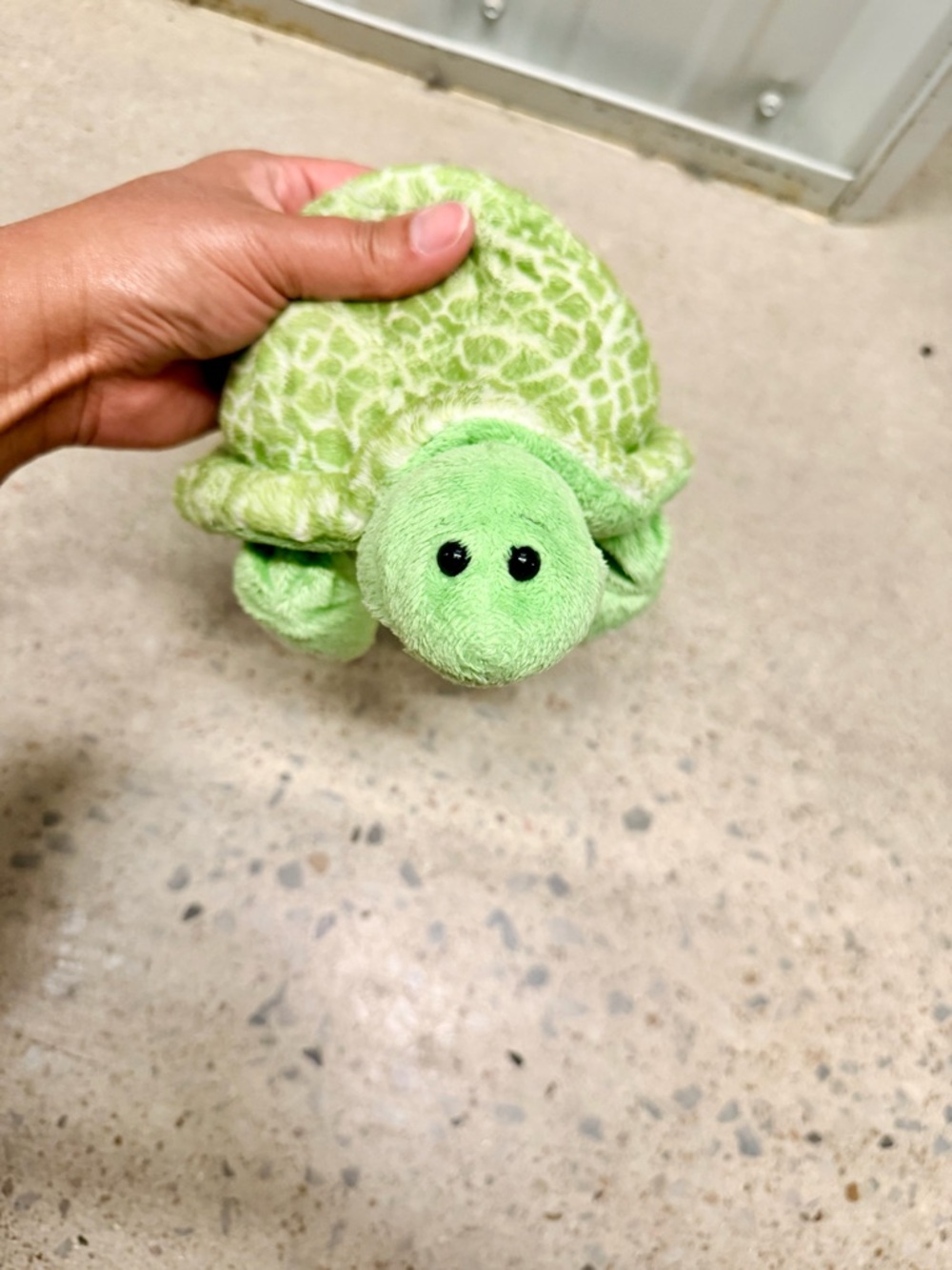 Webkinz Ganz Spotted Turtle Plush